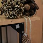 ❄️Srebrna gwiazdka❄️ – II miejsce dla zespołu Gama i Melodia 🎶