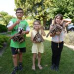 ❄️Srebrna gwiazdka❄️ – II miejsce dla zespołu Gama i Melodia 🎶