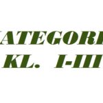 ❄️Srebrna gwiazdka❄️ – II miejsce dla zespołu Gama i Melodia 🎶