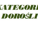 ❄️Srebrna gwiazdka❄️ – II miejsce dla zespołu Gama i Melodia 🎶