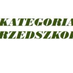 ❄️Srebrna gwiazdka❄️ – II miejsce dla zespołu Gama i Melodia 🎶