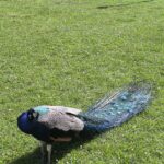 ❄️Srebrna gwiazdka❄️ – II miejsce dla zespołu Gama i Melodia 🎶