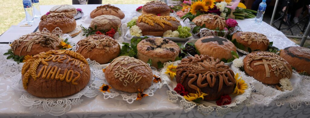 DOŻYNKI GMINNO-PARAFIALNE W KRZAKU |📸 Część II – MSZA ŚWIĘTA ORAZ DZIELENIE CHLEBA MIĘDZY UCZESTNIKÓW DOŻYNEK.