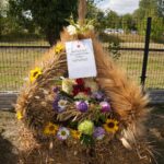 ❄️Srebrna gwiazdka❄️ – II miejsce dla zespołu Gama i Melodia 🎶