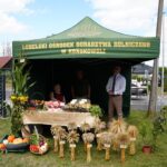 ❄️Srebrna gwiazdka❄️ – II miejsce dla zespołu Gama i Melodia 🎶